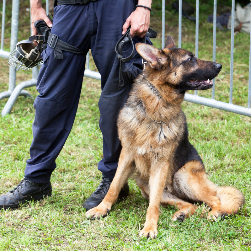 Expon Securite Corporation Agent De Securite A Orleans Gardiennage Statique