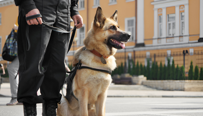 Expon Securite Corporation Agent De Securite A Orleans Gardiennage